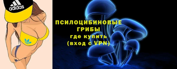 spice Алзамай