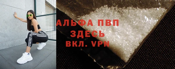 spice Алзамай